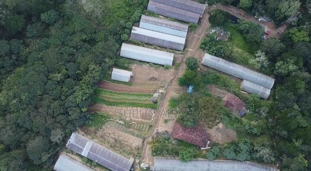 කදිම ඉඩමක් වැලිමඩින්