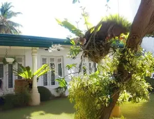 Land for Sale Gampaha Miriswatta