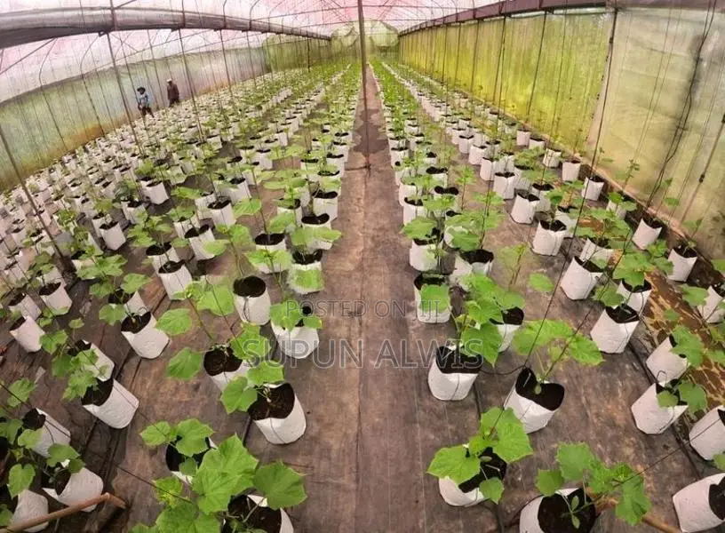 කදිම ඉඩමක් වැලිමඩින්