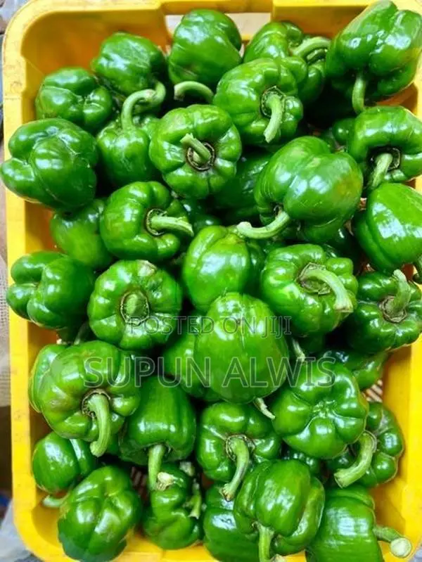 කදිම ඉඩමක් වැලිමඩින්