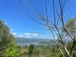 වික්ටෝරියා ජලාශය පෙනෙන මානයේ Land for Sale digana