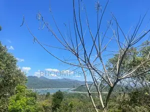 වික්ටෝරියා ජලාශය පෙනෙන මානයේ Land for Sale digana