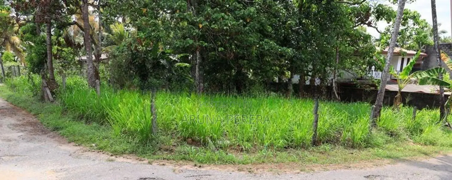 11 Perch Land for Sale in Homagama