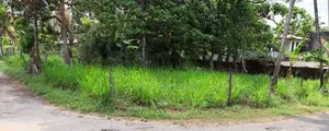 11 Perch Land for Sale in Homagama