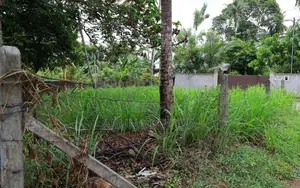 11 Perch Land for Sale in Homagama