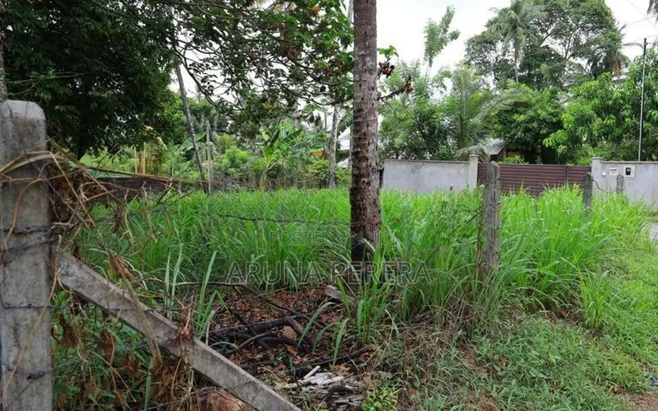11 Perch Land for Sale in Homagama