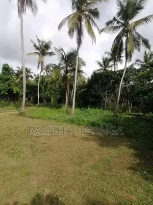 Welipennagahamulla, Nattandiya Complete Land with House for Sale