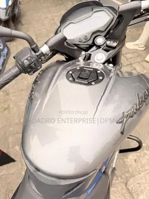Bajaj Pulsar NS200 Efi BSVi 2026