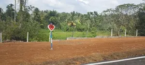 පිලියන්දල නගර සීමාවෙන් වටිනා ඉඩම්