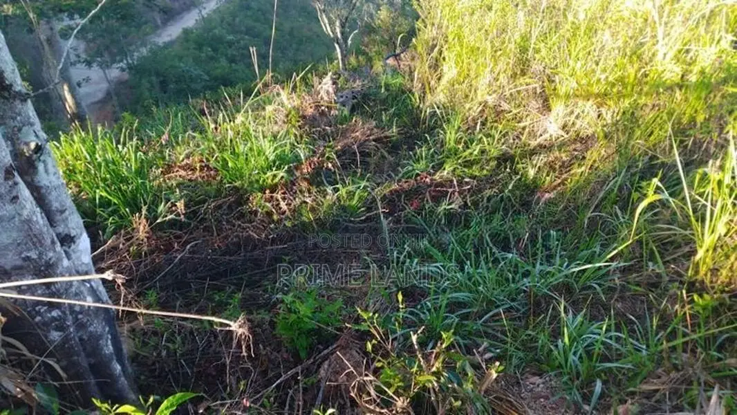 Beautiful Land for Sale in Bandarawela Kontehela
