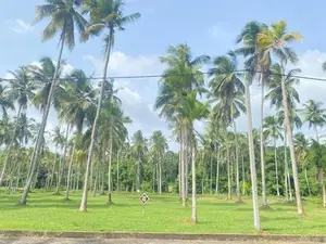 Land for Sale in Udugampola