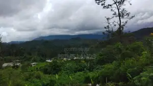 Land For Sale In Bandarawela Kontehela