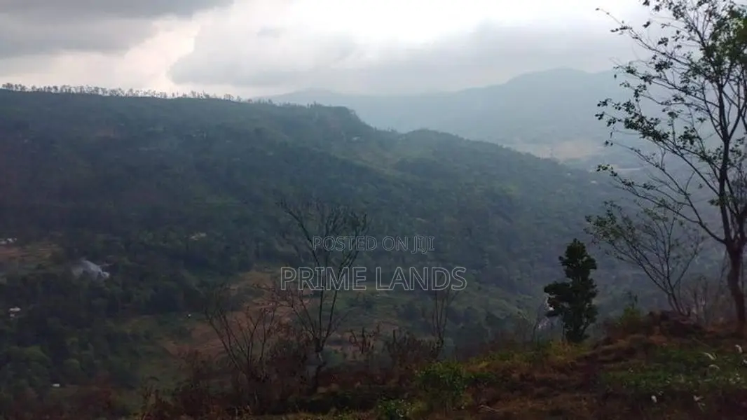 Beautiful Land for Sale in Bandarawela Kontehela