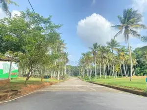 Land for Sale in Udugampola