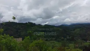 Land For Sale In Bandarawela Kontehela