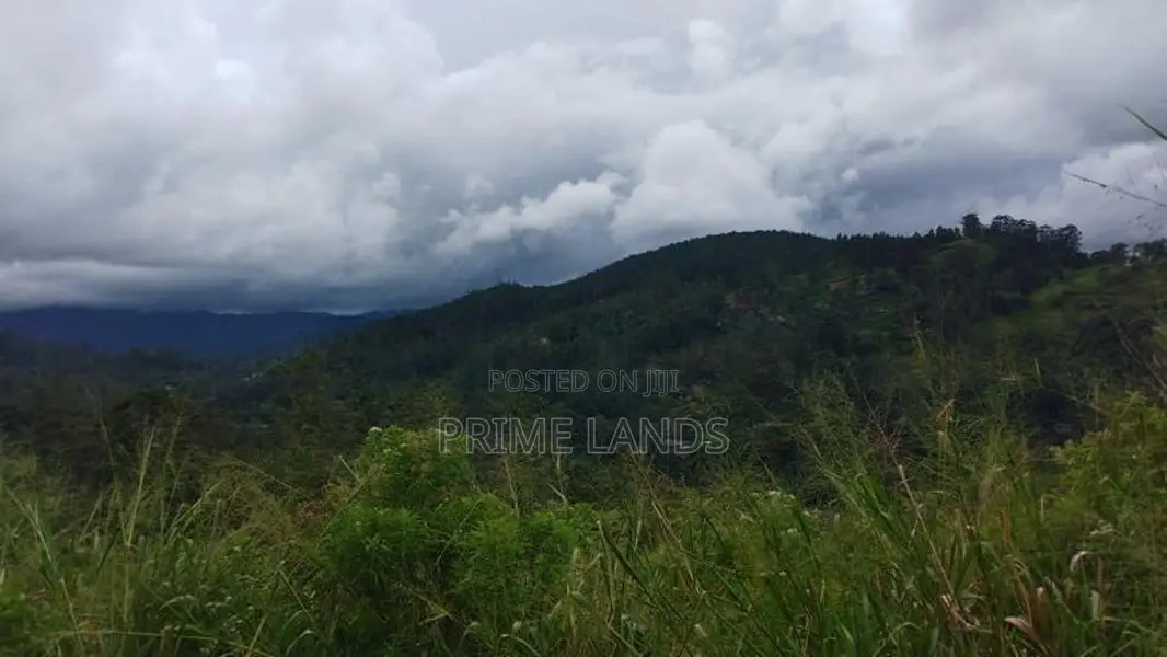 Beautiful Land for Sale in Bandarawela Kontehela