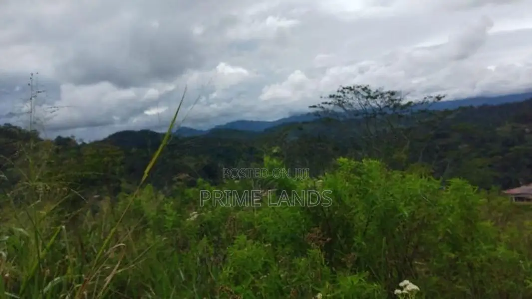 Land For Sale In Bandarawela Kontehela