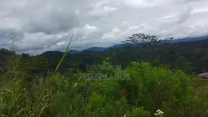 Land For Sale In Bandarawela Kontehela