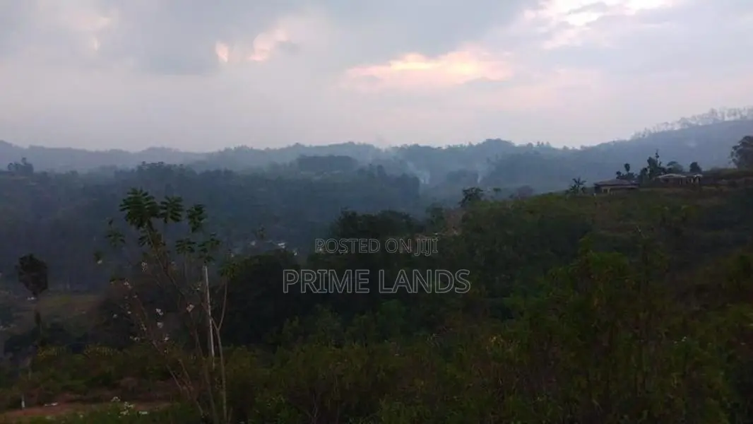 Land for Sale in Bandarawela Kontehela