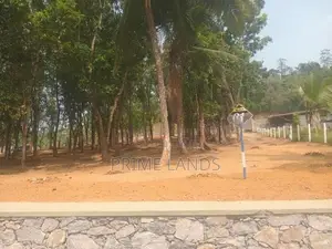 පිලියන්දල නගර සීමාවෙන් මහෝගනී වත්තක්