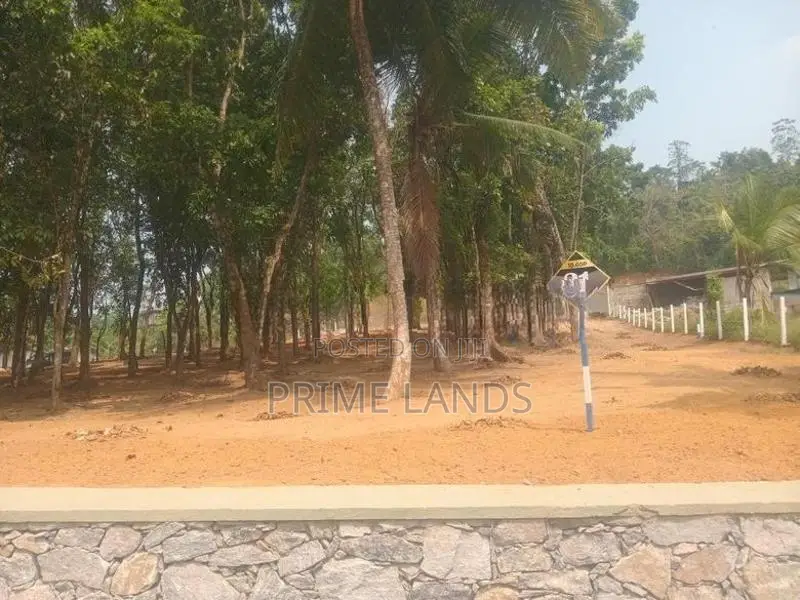 පිලියන්දල නගර සීමාවෙන් මහෝගනී වත්තක්