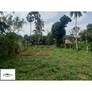 Land For Sale Borelsgamuva Ambiliwatha (Dsp 2333 )