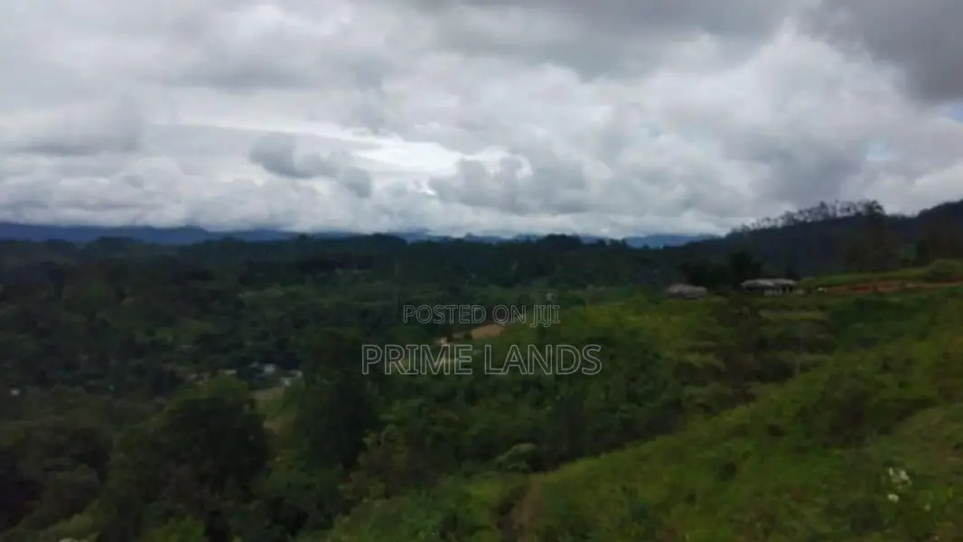 Beautiful Land for Sale in Bandarawela Kontehela