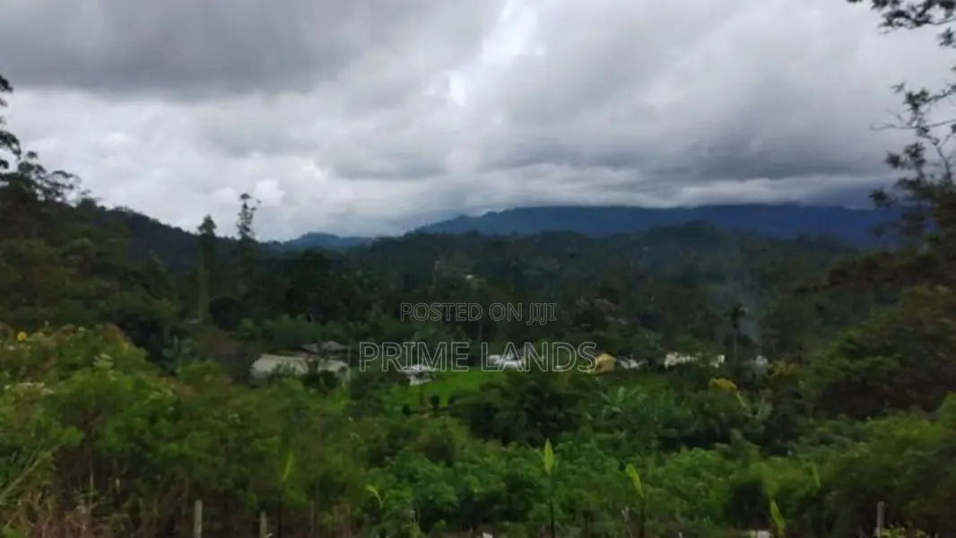 Land For Sale In Bandarawela Kontehela