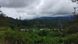 Land For Sale In Bandarawela Kontehela