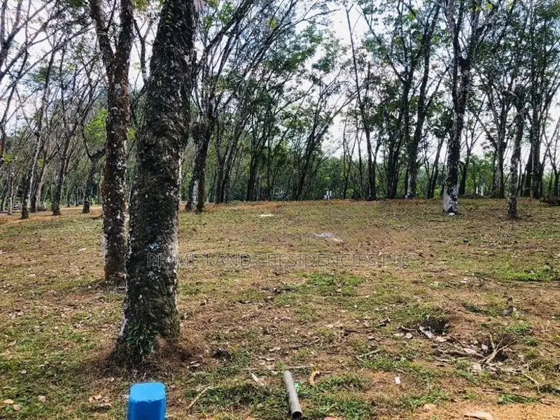 Land for sale in Horana