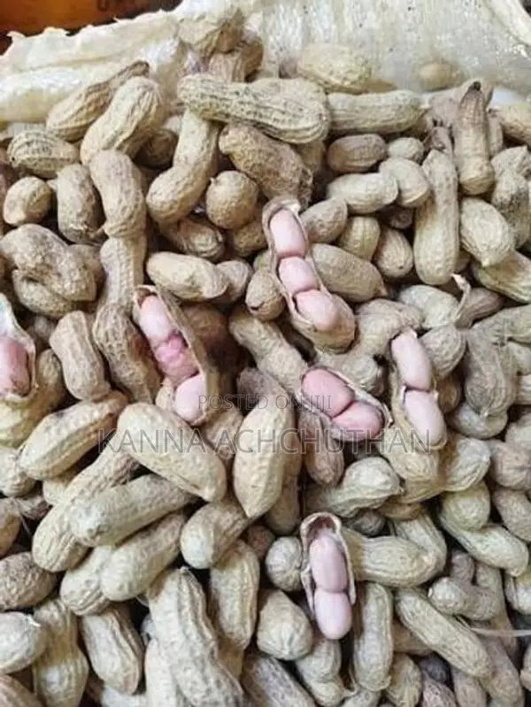 Peanuts / கச்சான்