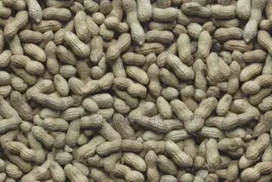 Peanuts / கச்சான்