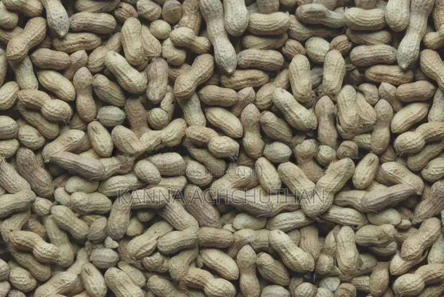 Peanuts / கச்சான்