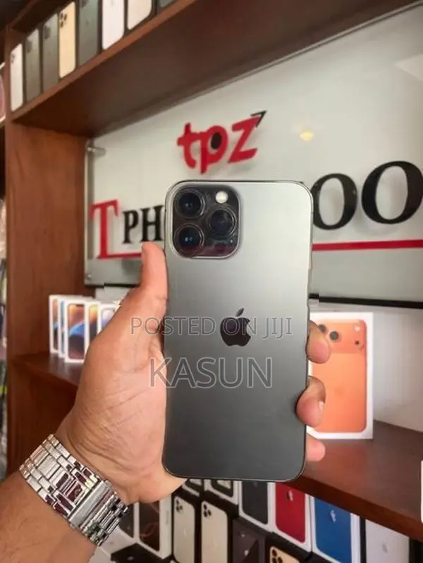 Apple iPhone 13 Pro Max (Used)