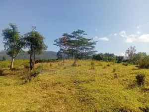 Land For Sale In Pussellawa Wahurupitiya