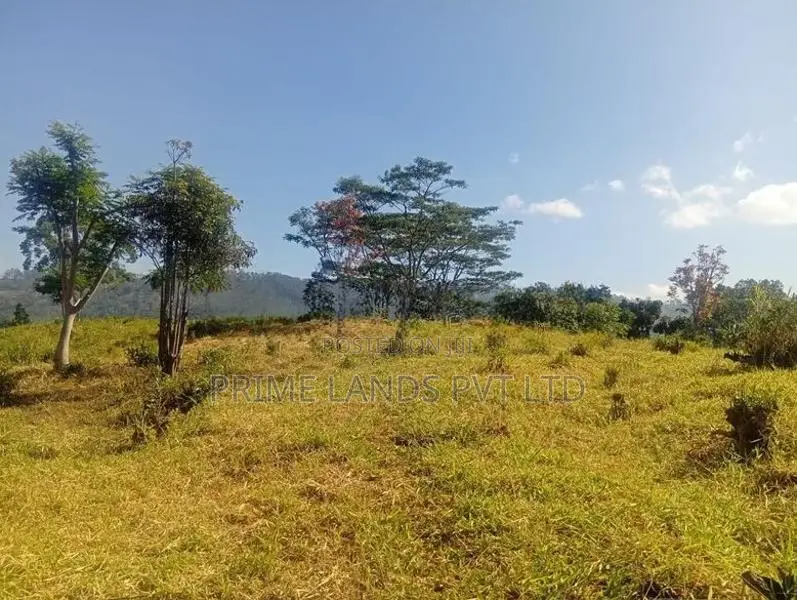 Land For Sale In Pussellawa Wahurupitiya
