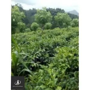 Land For Sale Pittakote Thalwathagoda Close To Main Road( Dsp 2335 )