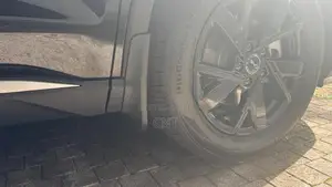 BYD Sealion 5 Mud Guard Set