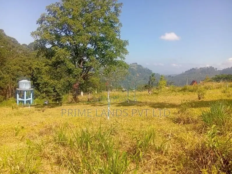 Land For Sale In Pussellawa Wahurupitiya