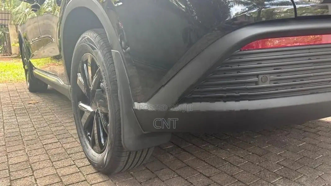 BYD Sealion 5 Mud Guard Set