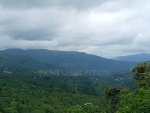 Land For Sale In Pussellawa Wahurupitiya