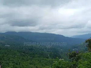 Land For Sale In Pussellawa Wahurupitiya