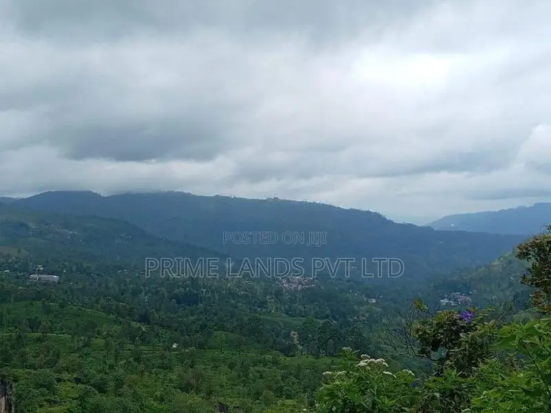 Land For Sale In Pussellawa Wahurupitiya