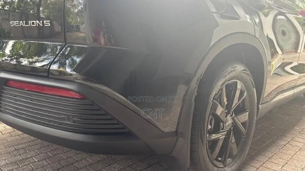BYD Sealion 5 Mud Guard Set