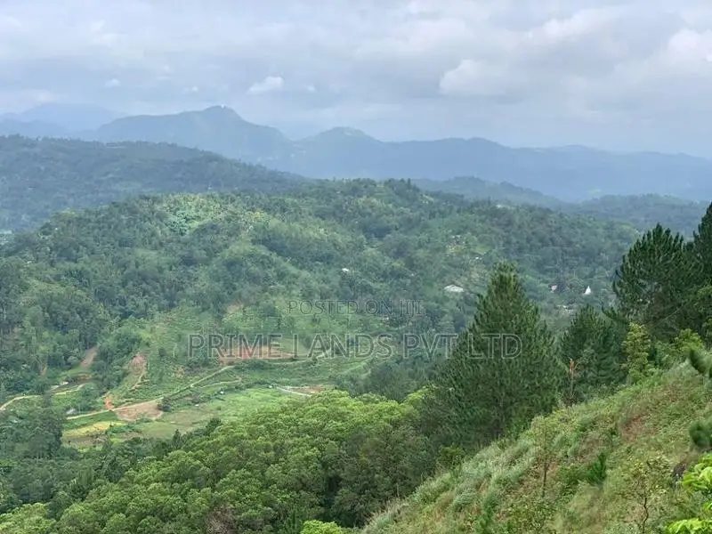Land For Sale In Pussellawa Wahurupitiya