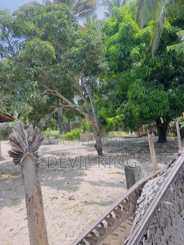 Land for Sale - Kaluwanchikudy