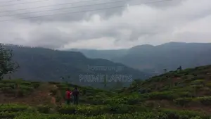 Valuable Land For Sale In Pussellawa Wahurupitiya