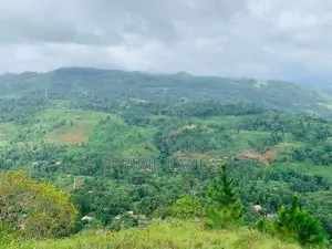 Valuable Land For Sale In Pussellawa Wahurupitiya