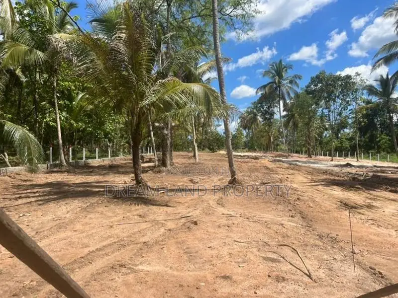 Land for Sale in Narammala Town