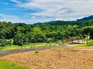 අවිස්සාවේල්ල ප්‍රදාන පාරට කිට්ටුව ඉඩම්